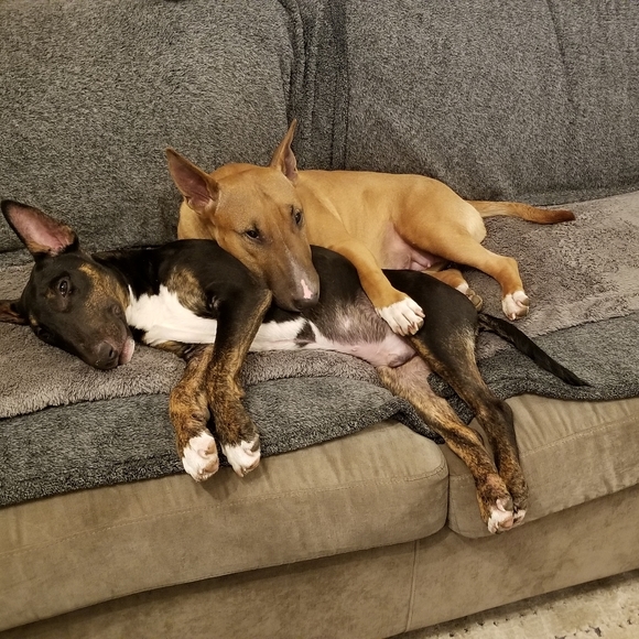 🖤 HEY HEY!! 🖤 - Picture 3 of 7